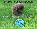 If buying the best dog toys is something you'll be doing soon, start here to discover what choices you have and all the latest, greatest choices in dog playthings.