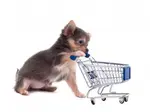 shopping cart