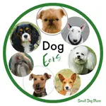 Caring for your dog's ears is a three step process that does not need to be time consuming, but can reap benefits to your small breed dog.  