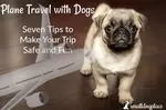 If plane travel with dogs or just one favorite small dog  is in your future, you will want to know how to make it safe and relatively care free.