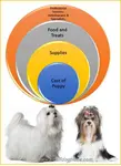 Dog Costs: Look into the real costs of dog ownership with help on making a dog expense budget.