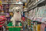 dog in a shopping cart in a dog food store