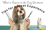 A visit to the dog groomer can be stressful or amazing.  Find out ways to make your trip wonderful.