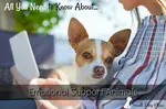 All you need to know about emotional support animals, what they are, do you need one, how to quality.