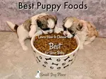 Deciding on the best puppy foods for your new addition can be a formidable job, but we have broken the task down to help you decide what is best for your dog.