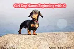 Girl dog names beginning with G is one of a series of pages about female puppy names.