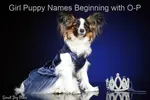 Search our list of all Girl Puppy Names Beginning with O-P