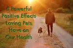 There are many health benefits of dogs that include not only physical but emotional and even mental 