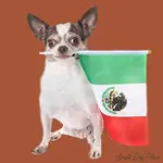 mexican-dog-names-brown.jpg