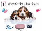If you want to save on puppy supplies, you will want to check out these ten hacks that will save you money while still pampering your pup.