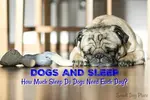 Dogs and Sleep discusses the science behind sleep including all those factors that alter the timing and patterning of the sleep cycle in puppies and adult dogs.