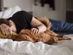 You might love the comfort and warmth of your dog sleeping next to you, but have you ever considered the benefits and drawbacks?