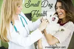 Anyone considering a small dog should be aware of some of the more common small dog health problems.  Learn more.