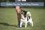 Six safety tips for dog owners provides the foundation for keeping your small dog out of harms ways and gives you peace of mind at the same time.