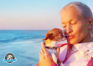 Sustainable pet parenting is for those pet owners who are conscious of their imprint on the earth.  Here are some tips for your consideration.