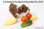 Vegan dog food is not that unusual when you consider the trend of going meat-free is at an all-time high. Is this is a healthy choice for your small dog.
