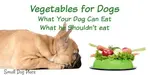 vegetables-for-dogs-french-bulldg.jpg