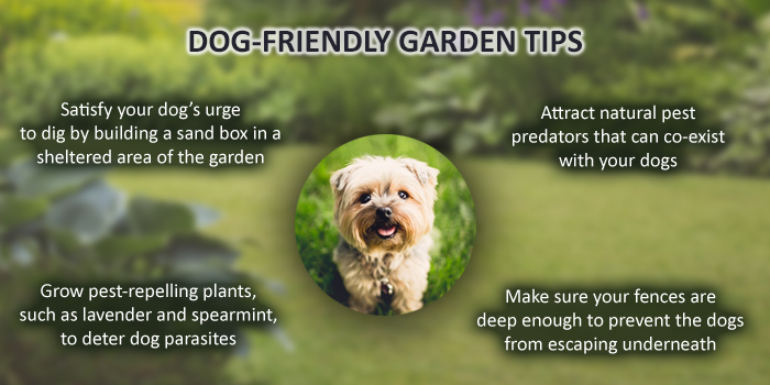 dog-friendly-gardens.png