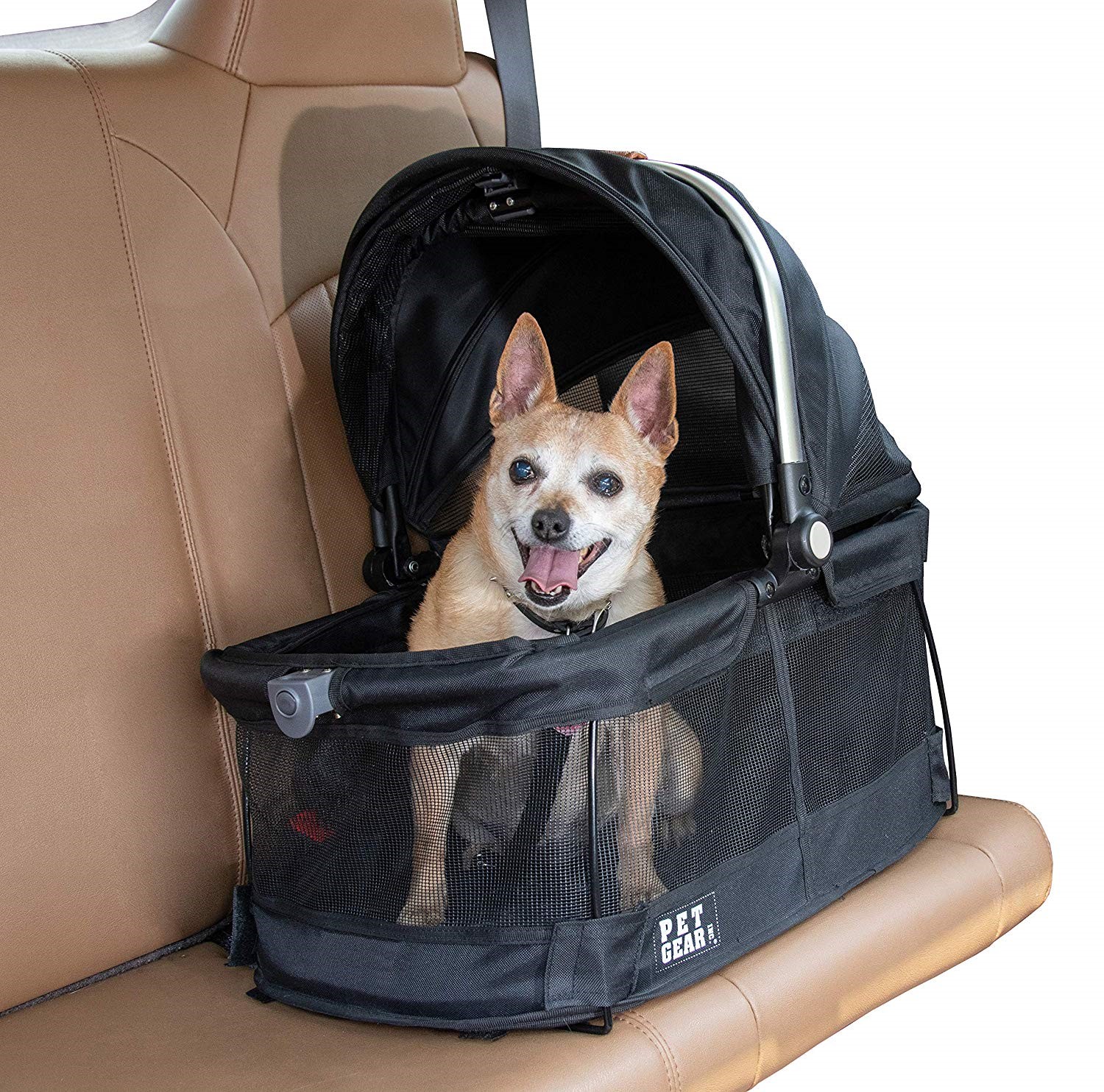 A Chihuahua is resting in a car seat