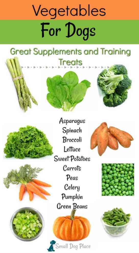 Vegetables for Dogs Nutritious Choices for Supplements