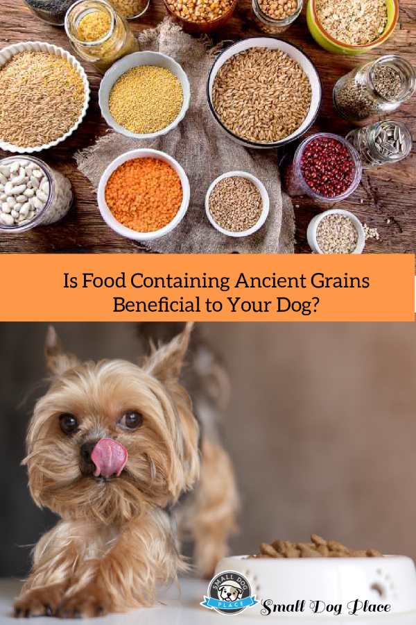 Ancient grains and dog food, pin image