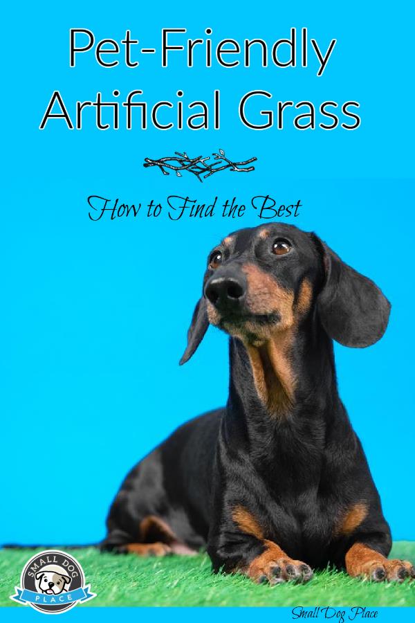 Pet friendly artificial grass pin image