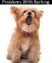 Problem dog barking
