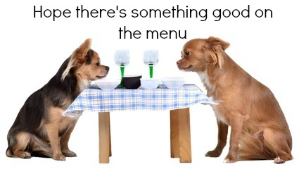 Two dogs, sitting at the table are considering which dog food is best.