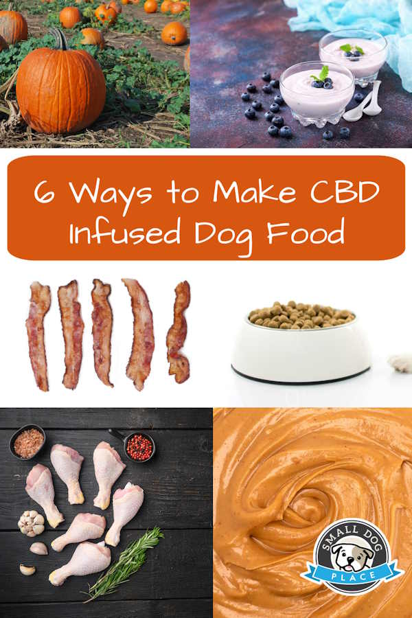 CBD Infused Dog Food, Pin Image