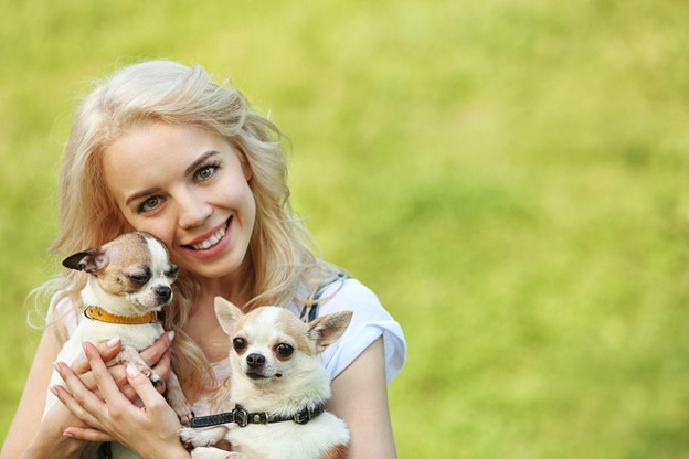 A woman holding two chihuahuas