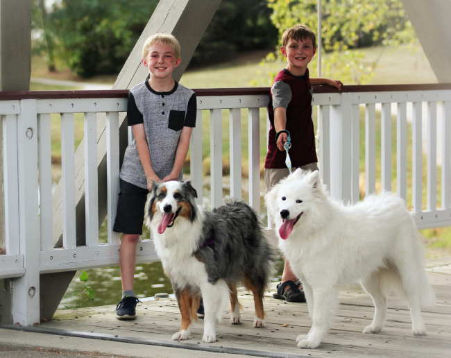 Two boys with their dogs on a leash getting ready to take a walk.
