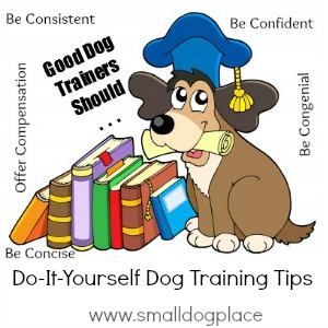 Small Dog Training