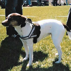 By Canarian - Own work, CC BY-SA 4.0, https://commons.wikimedia.org/w/index.php?curid=66947373