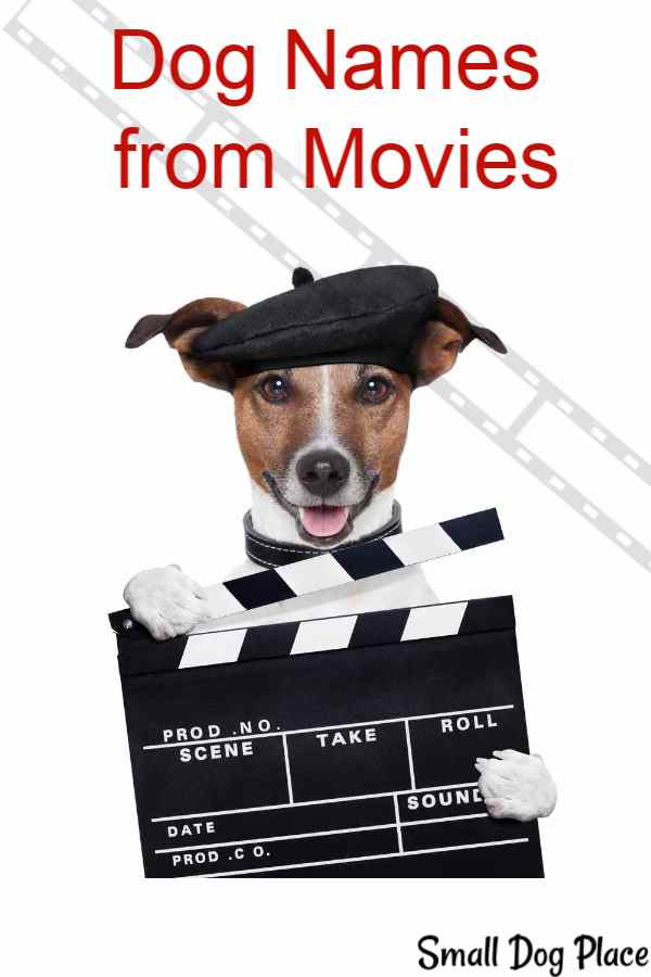 Dog Names  from Movies