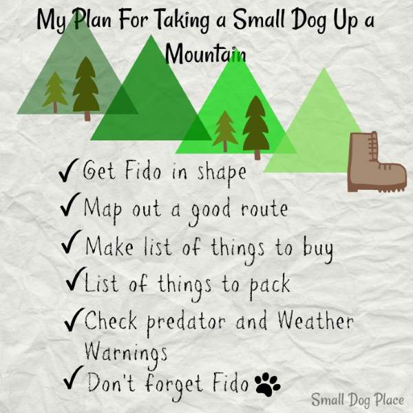 Plan, plan and plan some more when taking a small dog up a mountain