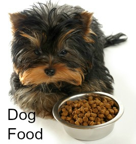 What do Dogs Eat?