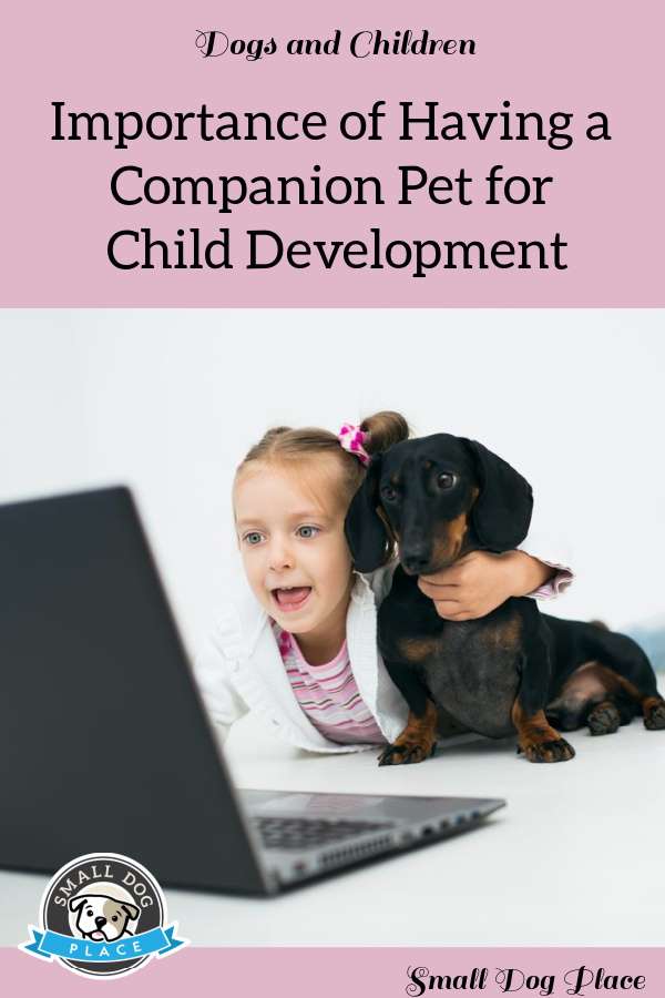A child with a dog is viewing a laptop screen A child with a dog is viewing a laptop screen