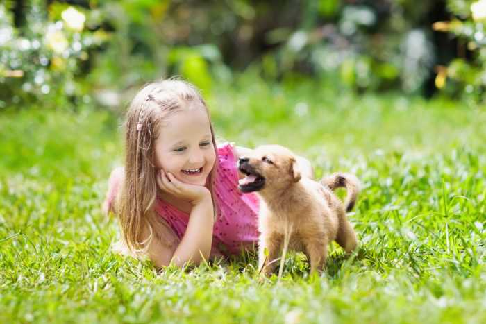 Dogs and Children: Young girl is enjoying the company of her small dog