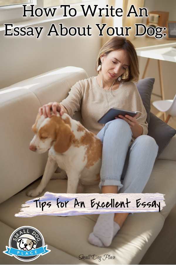 How to Write an Essay About Your Dog, Pin Image