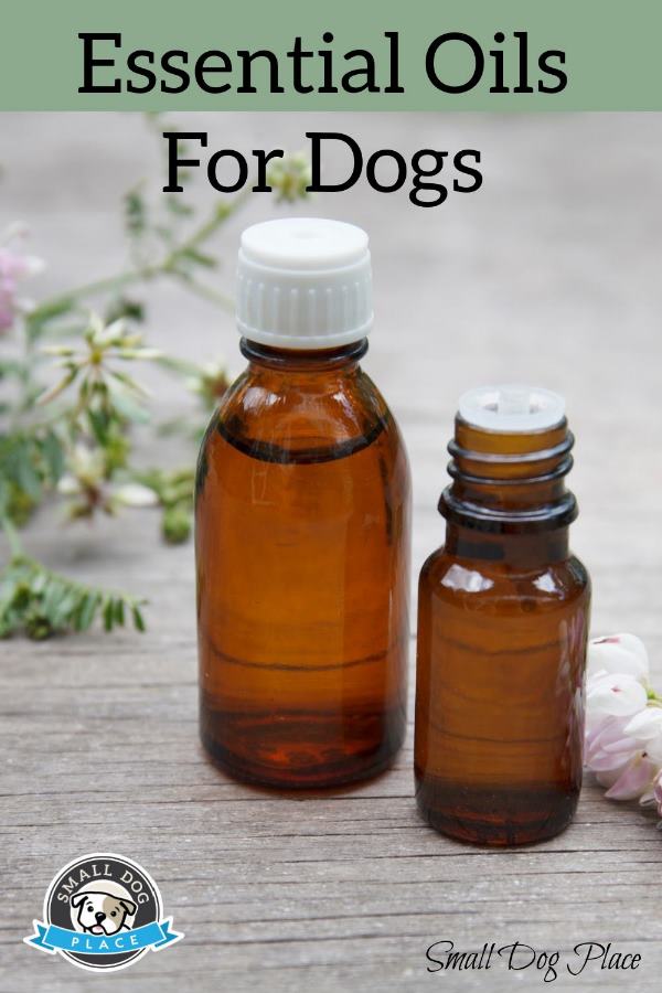 Essential Oils for Dogs Pin Image Essential Oils in Amber bottles