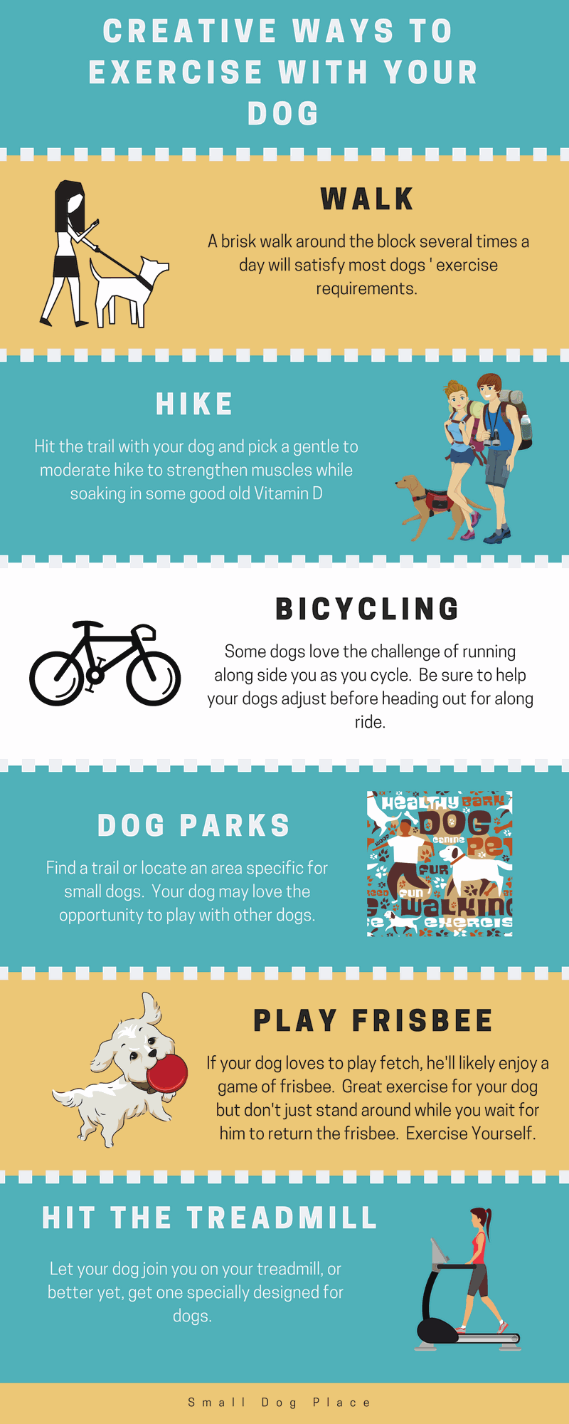 Creative Ways to Exercise Your Dog Infographic