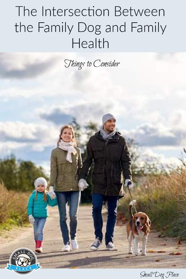 Family walking their dog in the Autumn Family walking their dog in the Autumn
