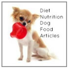 Small Dog Nutrition 101