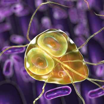 Giardia.jpg