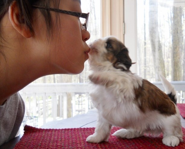 Puppy Kisses