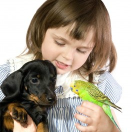 Here is a young child with a puppy and a bird.