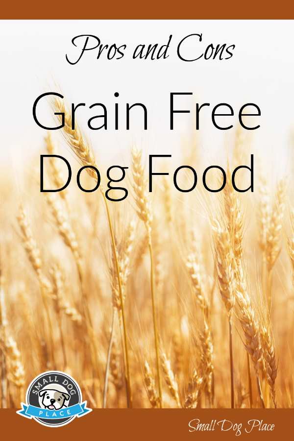 Grain-Free Dog Food Pin Image