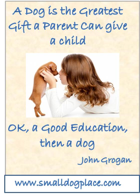 A Dog is the Best Gift a Parent can Give a Child (Quote)