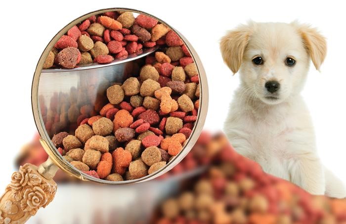 Puppy shown with a bowl of dog kibble