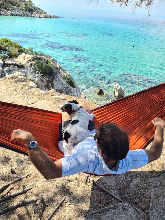 Jack Russell, Milo is sleeping in a hammock with his owner.